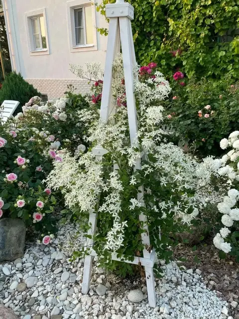 Ейск: Отель Белая Ива