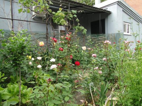 Ейск: Guest House Krasnodarskaya