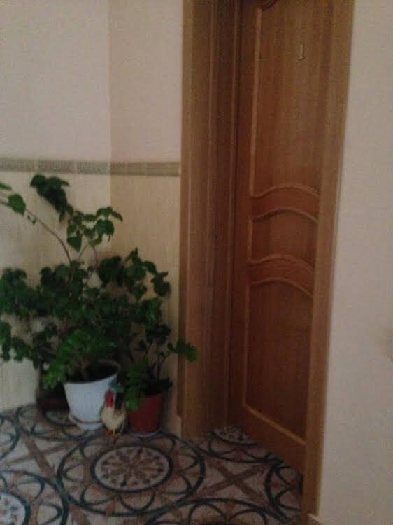 Дом для гостей на Лермонтова,68,Б — фото 3