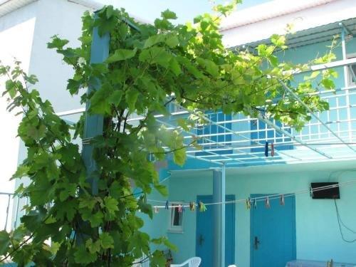 Сукко: Guest House V dolinie roz