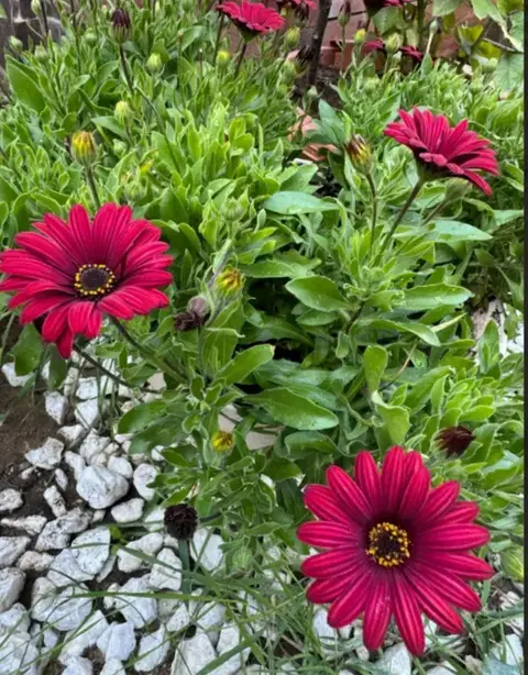 Горячинск: Гостевой дом Имидж Байкал