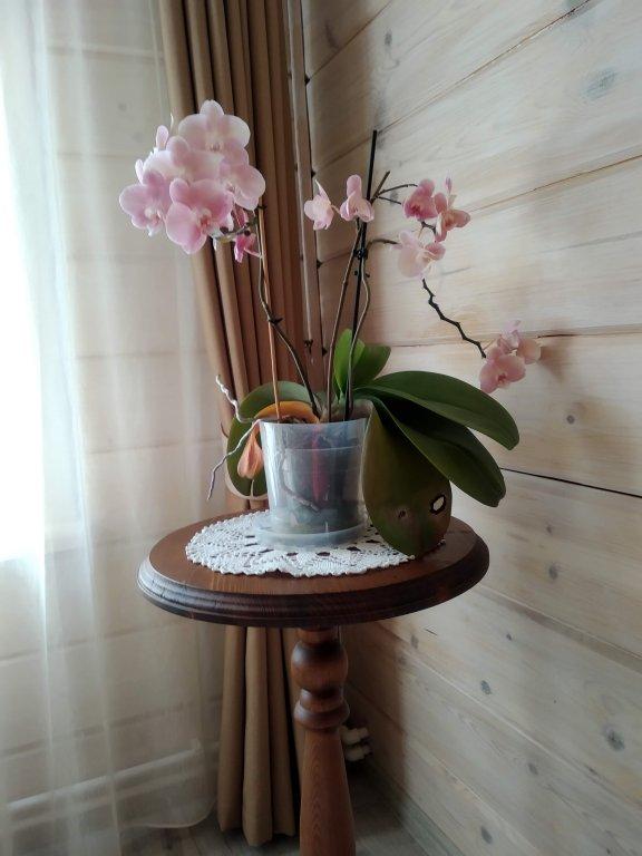 Плес: Частный дом Воскресенская дача