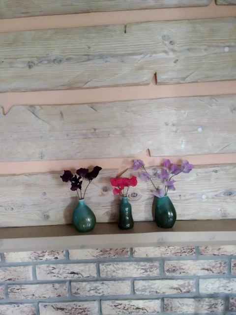 Плес: Частный дом Воскресенская дача