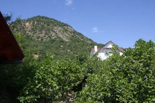Алушта: Гостевой Дом Вилла Аккорд