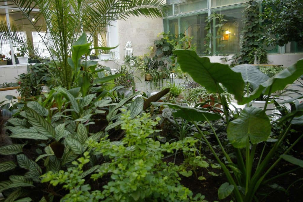 Северодвинск: Севмаш санаторий