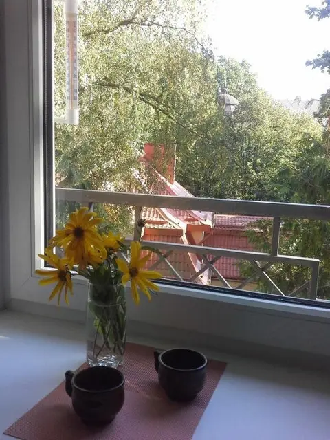 Светлогорск: Апартаменты Анкор