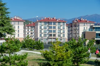 Сириус: Апартаменты Уютная двухкомнатная студия в Сириусе