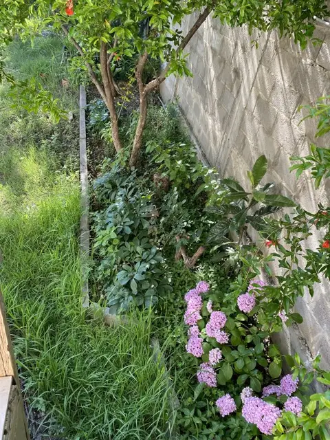 Гостевой дом Муш — фото 5
