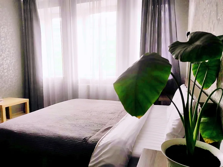 Зеленоградск: Апартаменты Holiday home