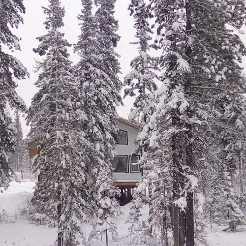 Шерегеш: Forest House