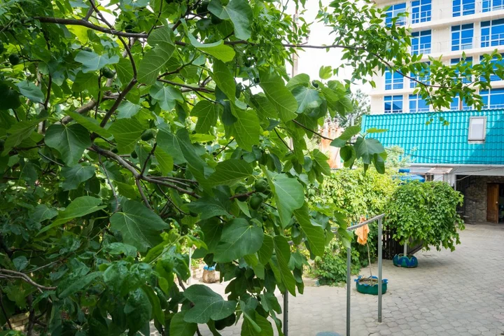 Тенгинское сельское поселение: Курортный отель Лазурный берег
