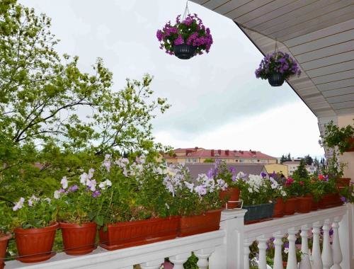 Сириус: Guest House Tsvetochnaya Polyana