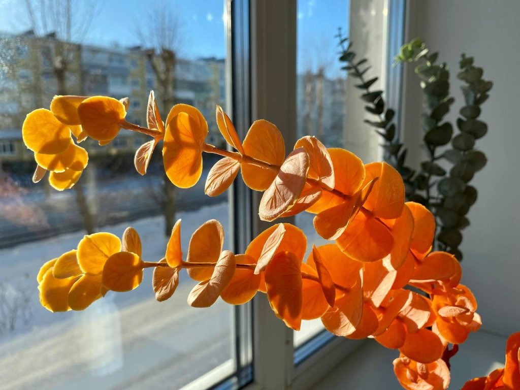 SeveRent (СевеРент) на улице Карла Маркса 26 — фото 2