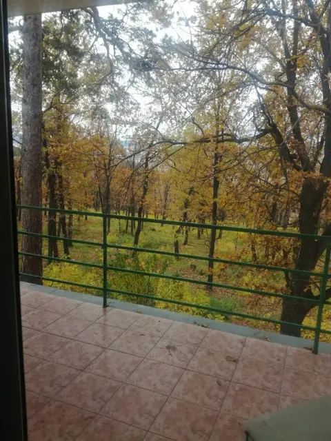 МУП Пансионат Звездный — фото 5