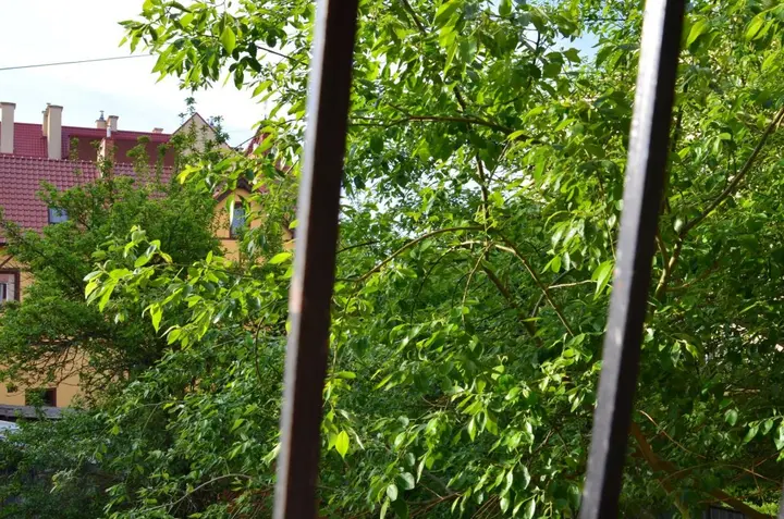 Зеленоградск: Апартаменты Apartburo Lermontova