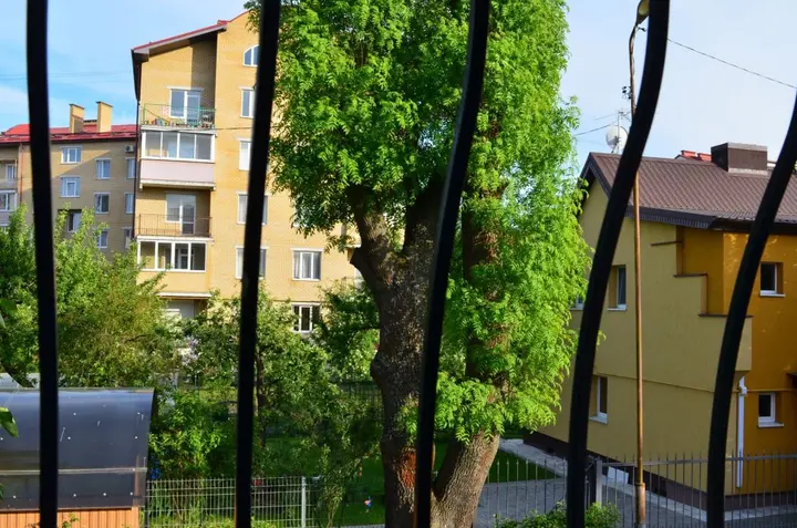 Зеленоградск: Апартаменты Apartburo Lermontova
