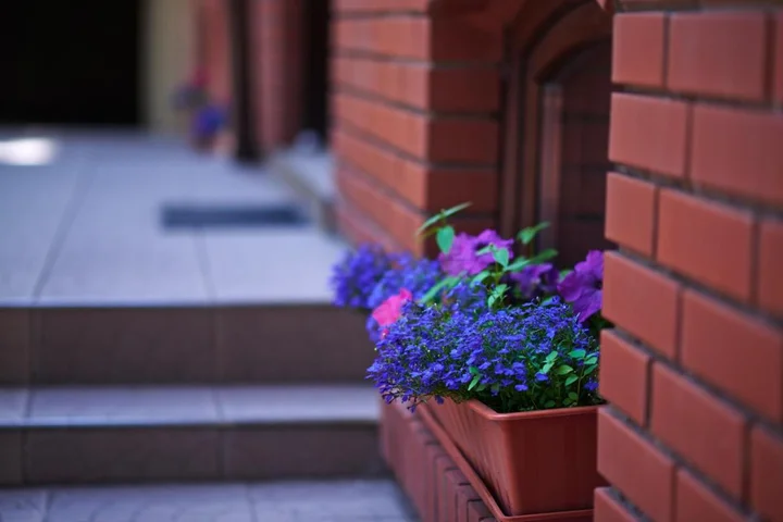 Янтарный: Anna Hotel