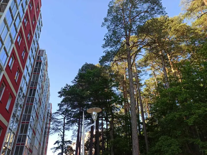 Светлогорск: Квартира Лесная сказка вблизи озера Тихое