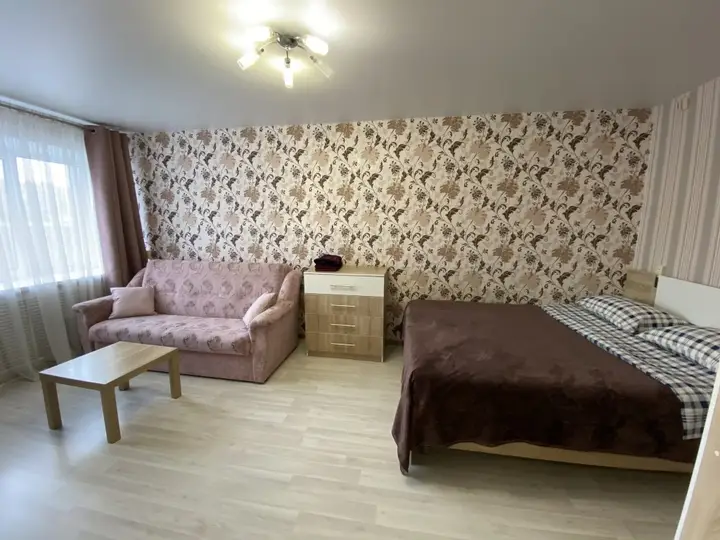 Апартаменты Однокомнатная квартира в Петрозаводске на Красной ОНЕГОHOME — фото 3