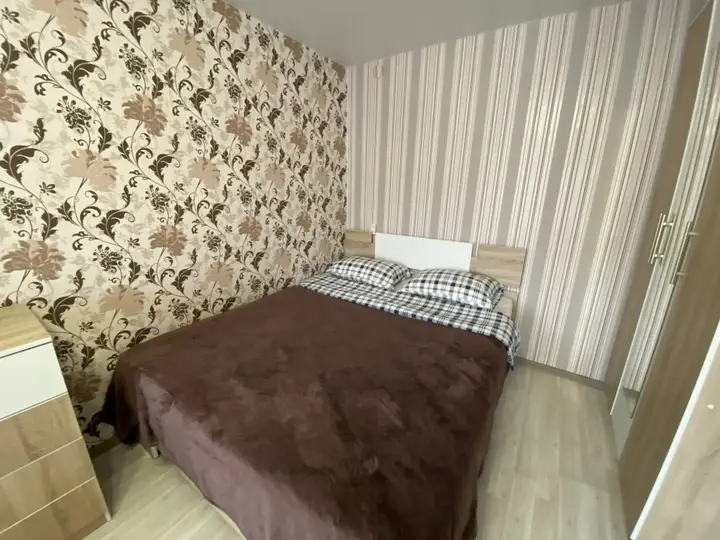 Апартаменты Однокомнатная квартира в Петрозаводске на Красной ОНЕГОHOME — фото 1