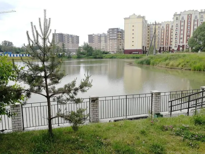 Зеленоградск: Апартаменты Paradise