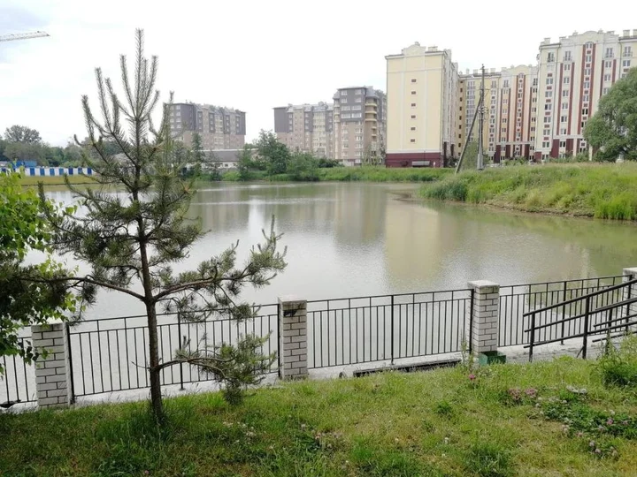 Зеленоградск: Апартаменты Paradise