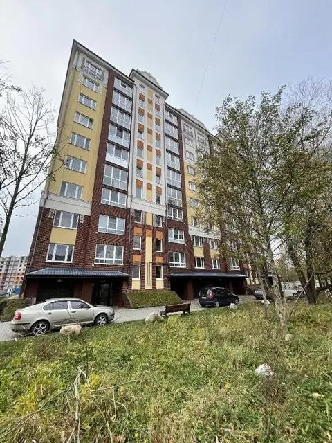 Зеленоградск: Апартаменты Paradise