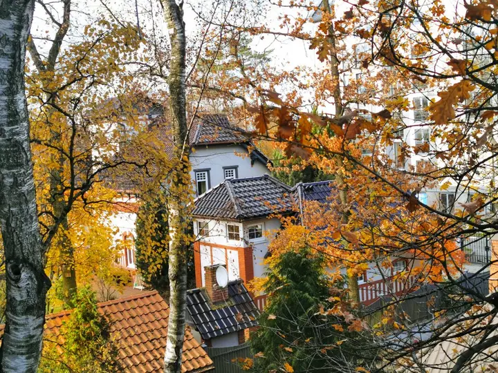 Светлогорск: Апартаменты Green Dream