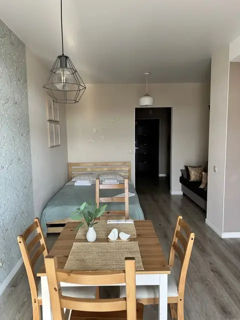 Апартаменты Studio With Lake View — фото 5