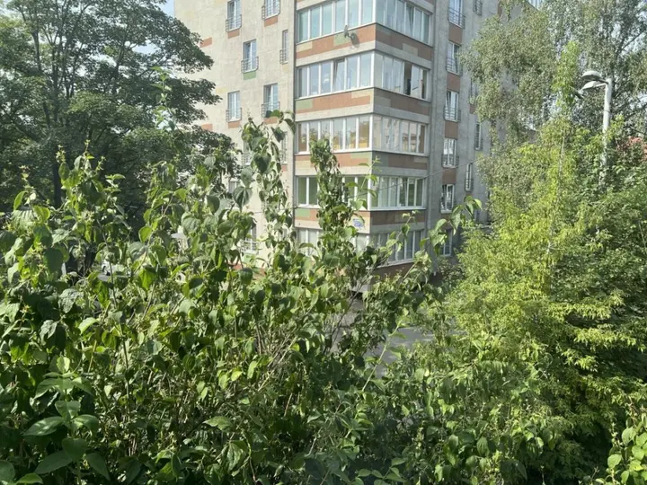 Калининград: Апартаменты на Советском
