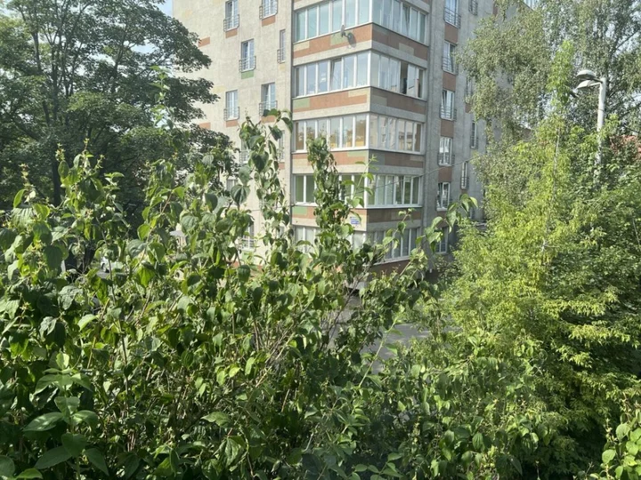 Калининград: Апартаменты на Советском
