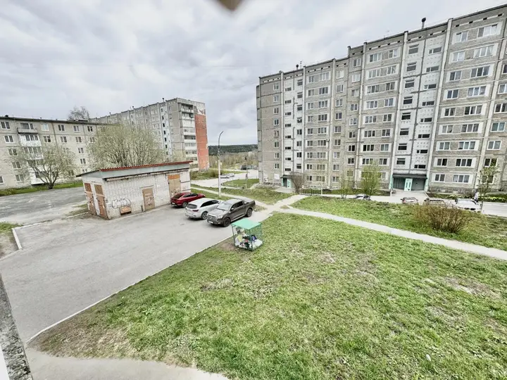 Барбарис на улице Мира 56 — фото 6
