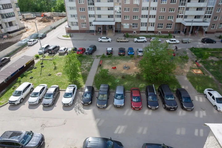 Липецк: Апартаменты «Атмосфера» | Сафари— Дикий Уют В Сердце Города
