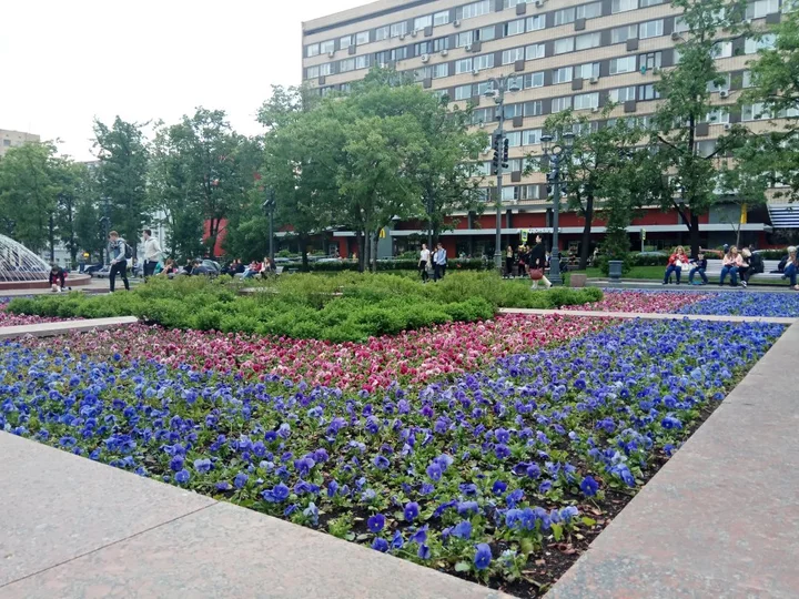 Москва: Апартаменты Пушкинская