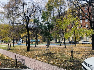 Санкт-Петербург: Апартаменты рядом с Московским парком Победы