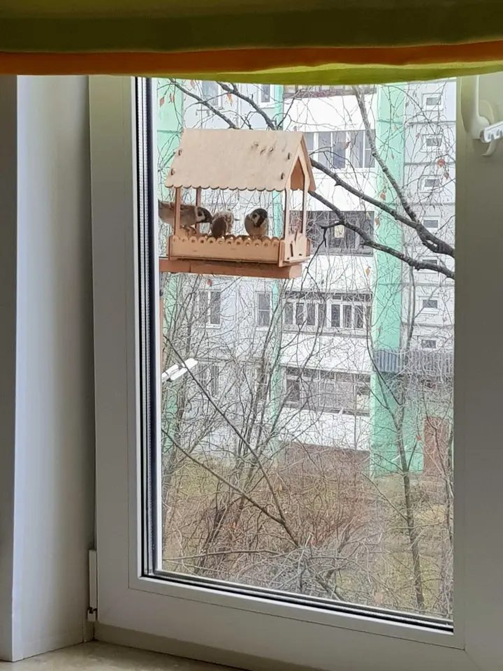 Кострома: Уютная 2х комнатная квартира