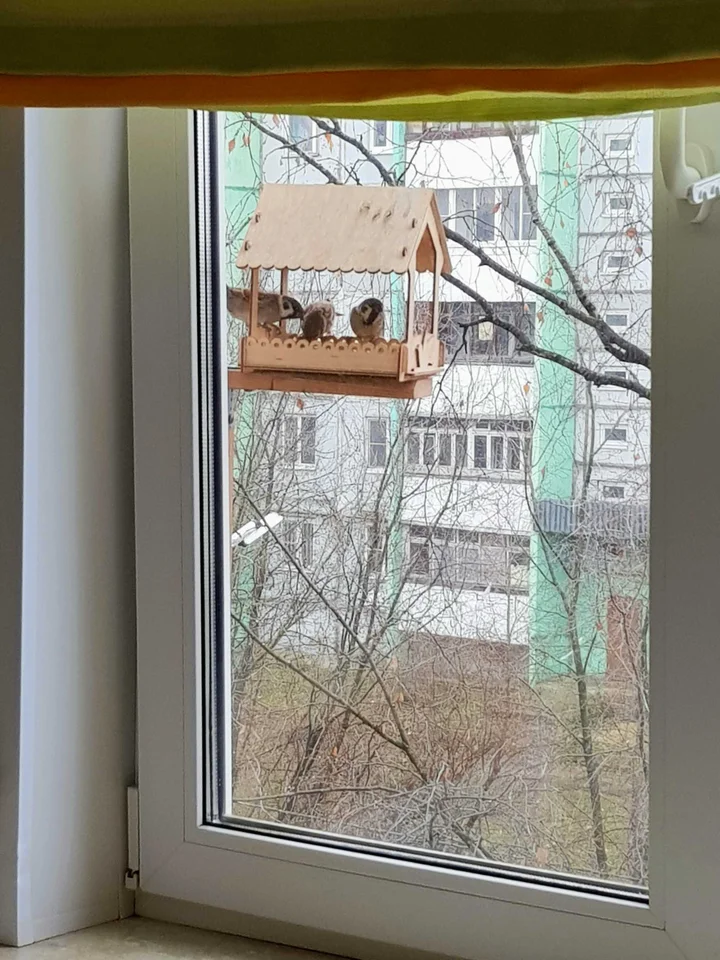 Кострома: Уютная 2х комнатная квартира