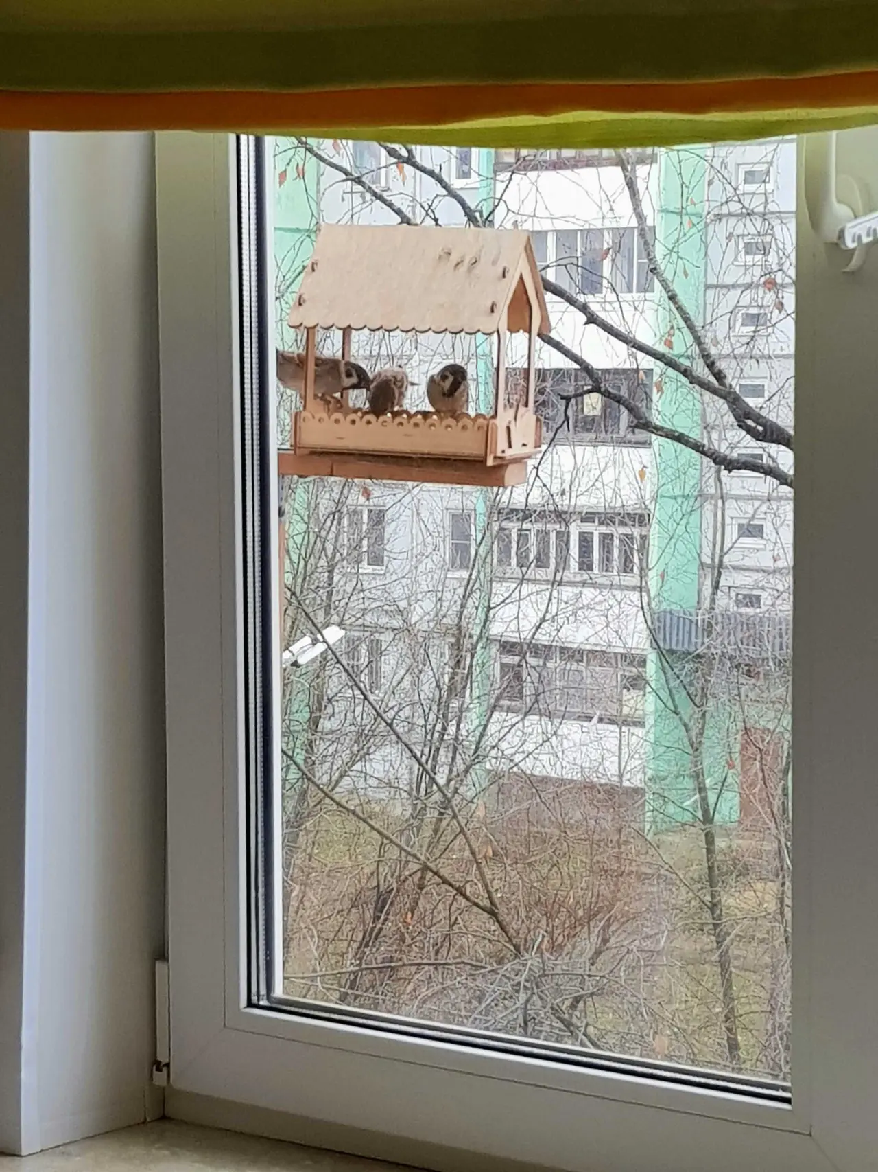 Кострома: Уютная 2х комнатная квартира