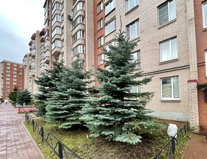 Санкт-Петербург: Квартира у Вредена