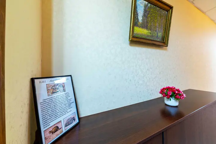 Санкт-Петербург: Домашняя гостиница «Подушка»