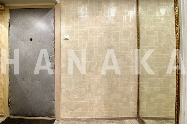 Hanaka на Домодедовской — фото 3