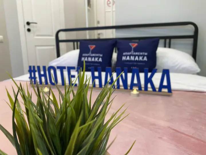 Hanaka 20 Автозаводская улица 17к1 — фото 3