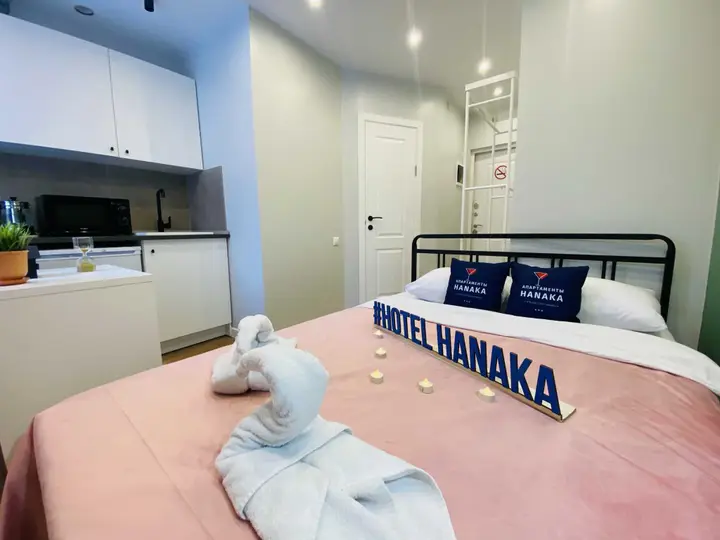 Hanaka 20 Автозаводская улица 17к1 — фото 6