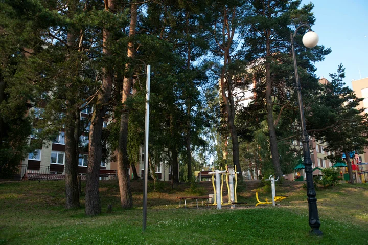 Светлогорск: Fresh Home