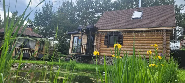 Караваево: Деревенский домик в пригороде Костромы