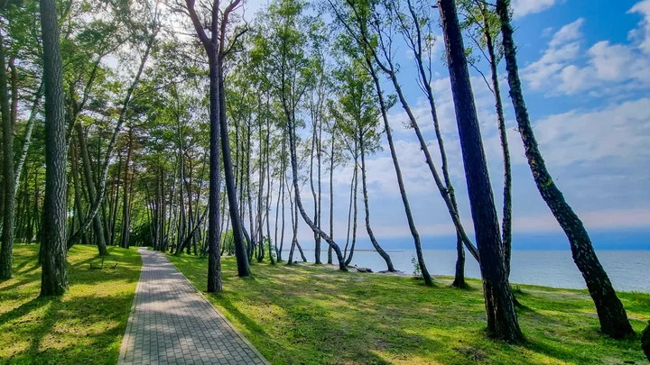Пионерский: LovelyHome39 на берегу моря в Пионерском