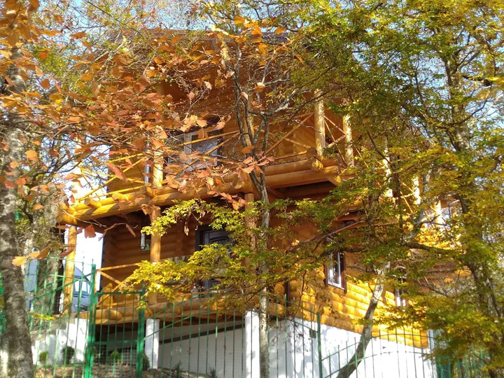 Туапсе: Загородные дома в лесу под Туапсе