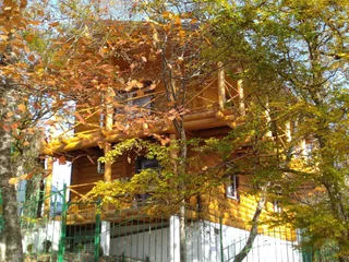 Туапсе: Загородные дома в лесу под Туапсе