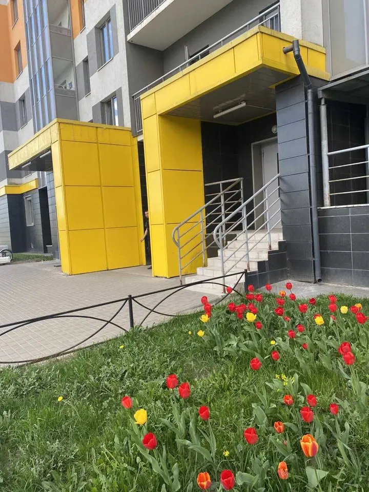 Санкт-Петербург: 2-х комнатная квартира с видом на парк
