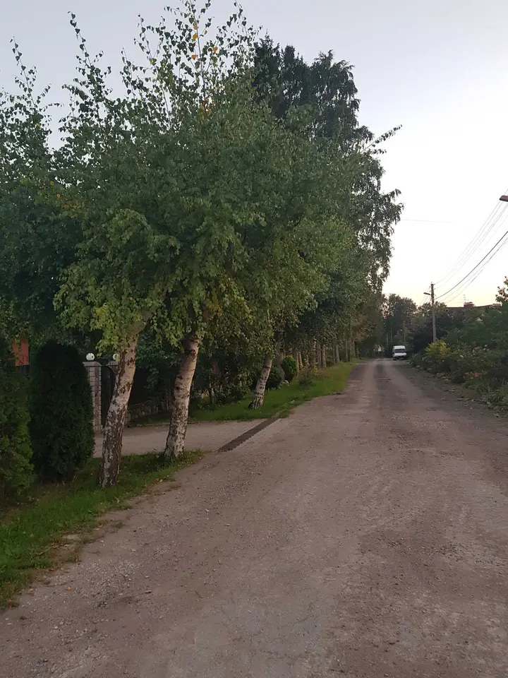 Светлогорск: Уютная квартира. "Отдых в Светлогорске"